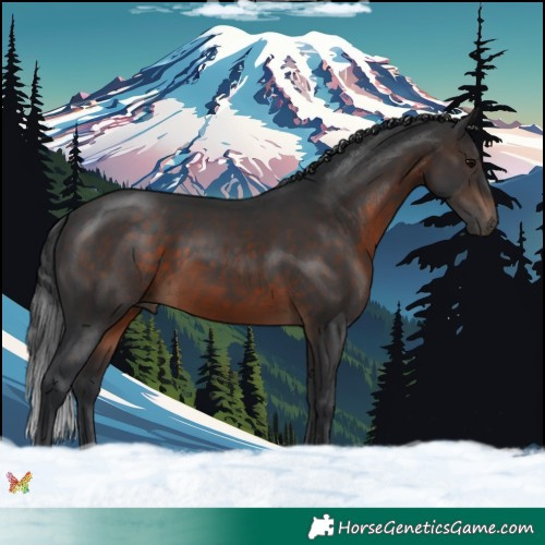 Horse Color:Brown 
