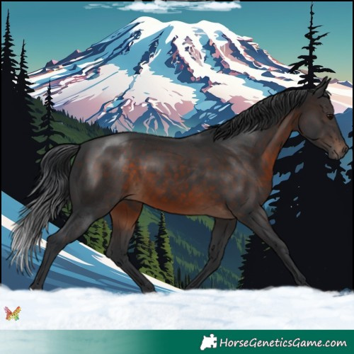 Horse Color:Brown 