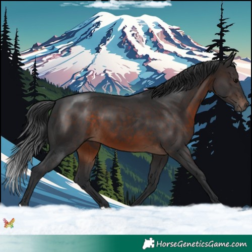 Horse Color:Brown 