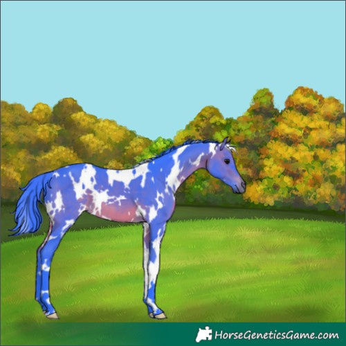 Horse Color:Watercolor White Spotted Brown 
