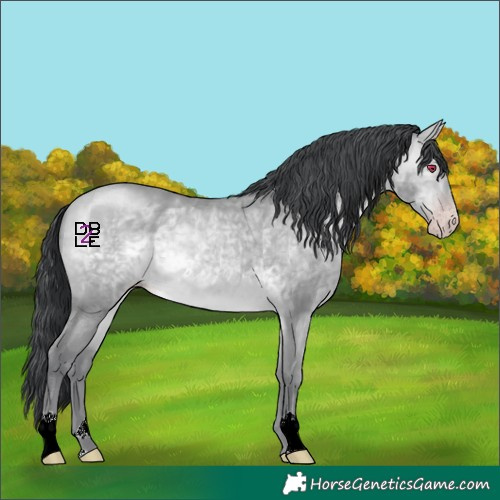 Horse Color:Amber Champagne Chinchilla