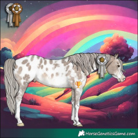 Horse Color:Silver Brown Dun Sabino Blanket
