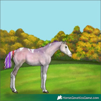 Horse Color:Painted Watercolor Silver Blue Onyx Sabino Tobiano