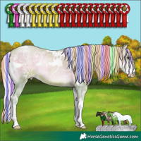 Horse Color:Painted Watercolor White Spotted Silver Brown Ice Pearl Onyx Sabino