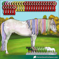 Horse Color:Painted Watercolor White Spotted Silver Brown Ice Pearl Onyx Sabino 