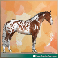 Horse Color:White Spotted Silver Brown Appaloosa 