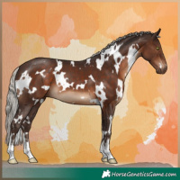 Horse Color:White Spotted Silver Brown