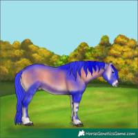 Horse Color:Watercolor Brown Onyx