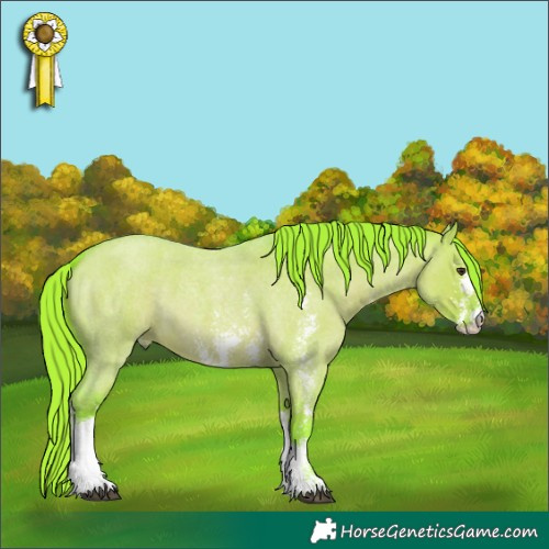 Horse Color:Watercolor Liver Red Dun Roan Sabino 