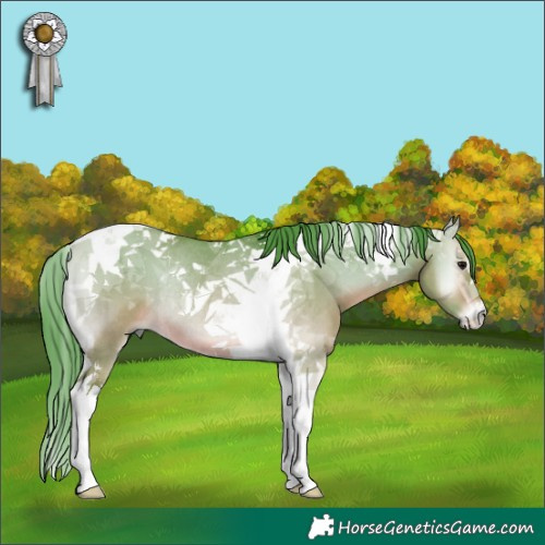 Horse Color:Watercolor Brown Onyx Tobiano Rabicano 