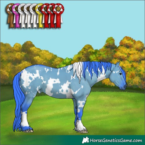 Horse Color:Watercolor White Spotted Grullo 