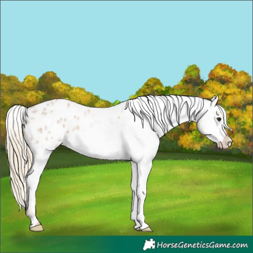 Horse Color:Red Roan Mushroom Blanket 