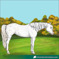 Horse Color:Red Roan Mushroom Blanket 