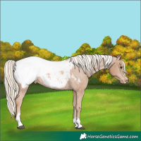 Horse Color:Chestnut Mushroom Snowcap 