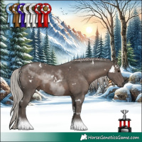 Horse Color:White Spotted Silver Black Tobiano 