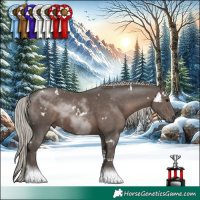 Horse Color:White Spotted Silver Black Tobiano 