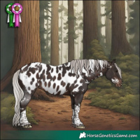 Horse Color:White Spotted Silver Brown Tobiano Appaloosa