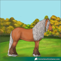 Horse Color:Silver Bay 