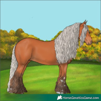 Horse Color:Silver Bay 