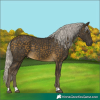 Horse Color:Silver Buckskin 