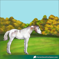 Horse Color:Nacre White Spotted Silver Brown Onyx Tobiano 