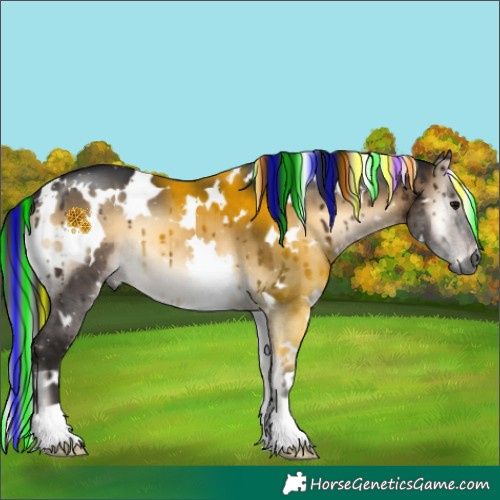 Horse Color:Gray Painted White Spotted Brown Onyx Brindle 