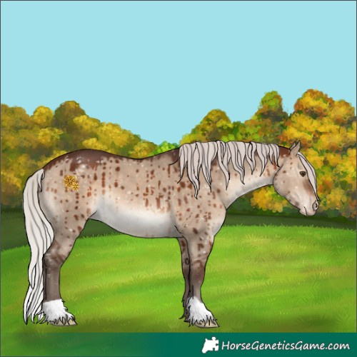Horse Color:Silver Brown Dun Snowflake VarnishBrindle 