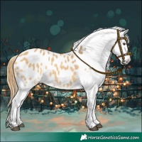 Horse Color:Buckskin Dun Splash Appaloosa 