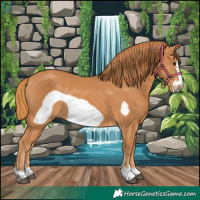 Horse Color:Chestnut Frame 