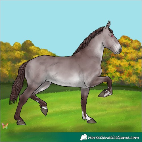 Horse Color:Chocolate Brown Chinchilla 