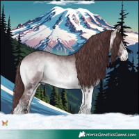 Horse Color:White Spotted Chocolate Brown Chinchilla Onyx 