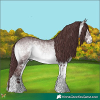 Horse Color:White Spotted Chocolate Brown Chinchilla Onyx 