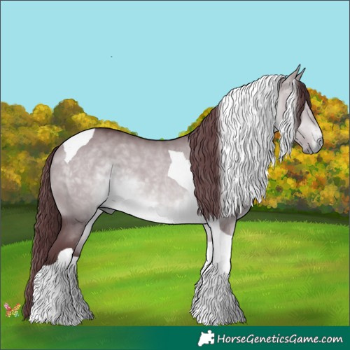 Horse Color:Chocolate Brown Chinchilla Dun Tobiano 