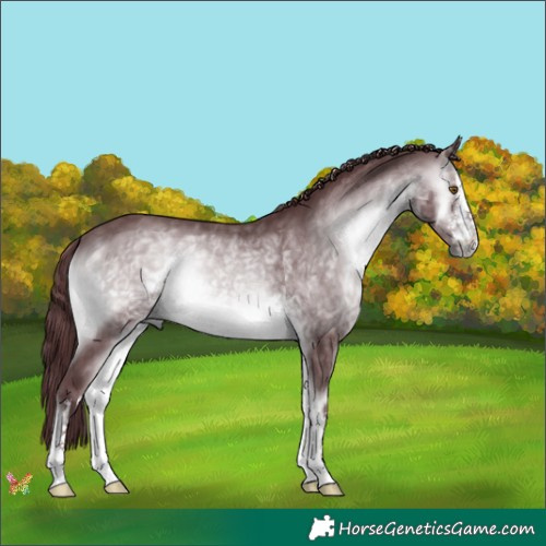 Horse Color:White Spotted Chocolate Brown Chinchilla Onyx 