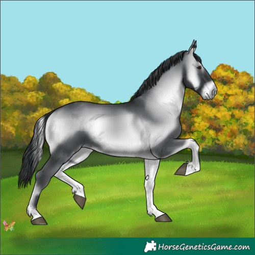 Horse Color:Blue Onyx Chinchilla 