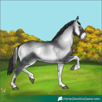 Horse Color:Blue Onyx Chinchilla 