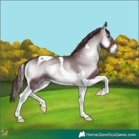 Horse Color:Chocolate Blue Onyx Chinchilla Tobiano 