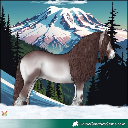 Horse Color:Chocolate Brown Chinchilla Onyx 