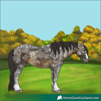 Horse Color:Buckskin Ice 