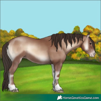 Horse Color:Classic Champagne Onyx 