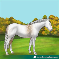 Horse Color:Gray Silver Classic Cream Champagne Tobiano 