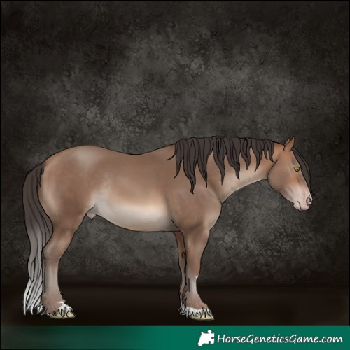 Horse Color:Sable Champagne Rabicano 