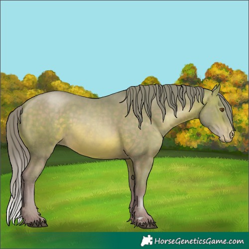 Horse Color:Watercolor Brown Pearl