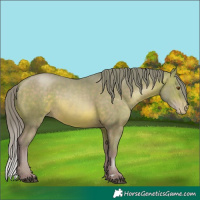 Horse Color:Watercolor Brown Pearl 