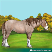 Horse Color:Brown Roan Pearl Splash 
