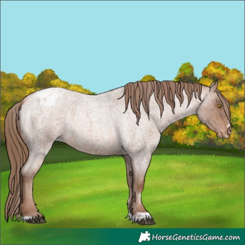Horse Color:Brown Roan Pearl Varnish 