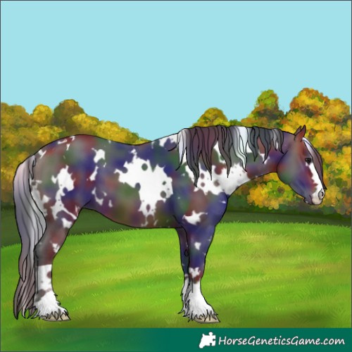 Horse Color:Nacre White Spotted Brown 