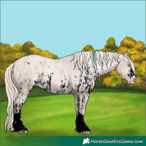 Horse Color:Cremello Sabino Appaloosa Rabicano  and Chocolate Palomino Ice Pearl Appaloosa Rabicano 