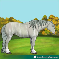 Horse Color:Watercolor Black Ice Pearl Sabino Varnish Rabicano 