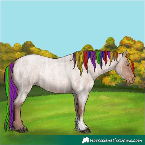 Horse Color:Painted Brown Ice Roan Pearl Sabino Appaloosa 